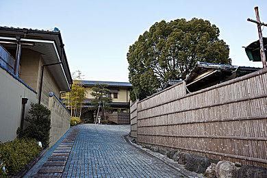 双厨狂喜 三角洲行动联动明日方舟正式官宣